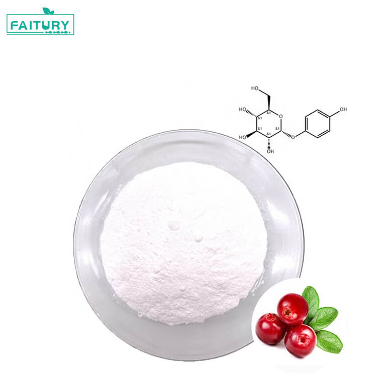 CAS 84380-01-8 Cosmetic Grade 99% Alpha Arbutin Powder Bearberry Extract for Skin Whitening