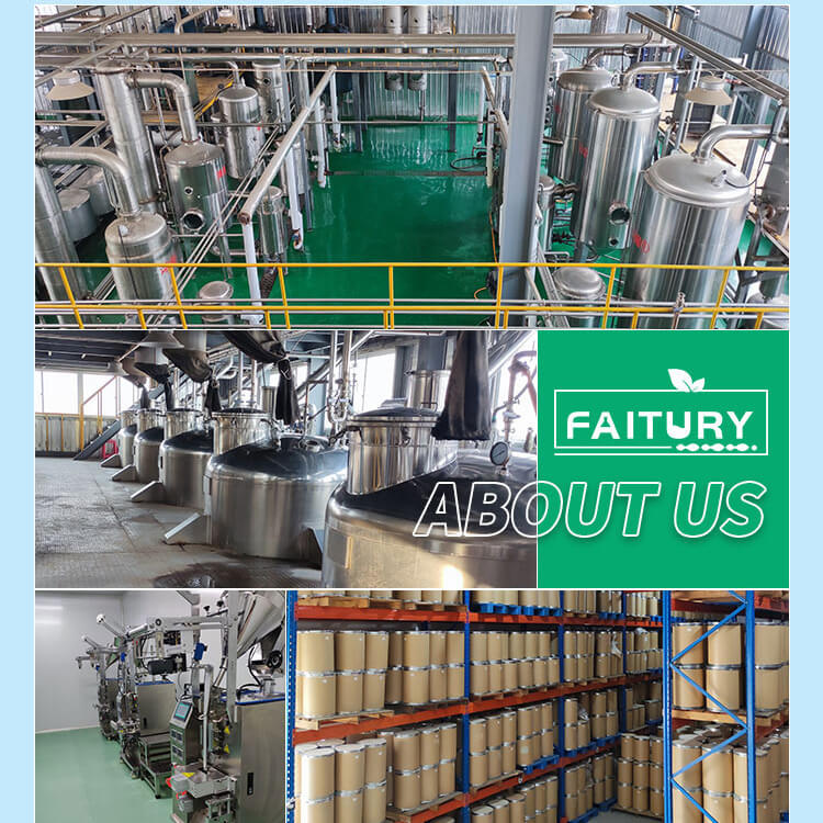 Polvere di estratto di radice di ginseng certificata ISO 5%-80% di polvere di estratto di ginsenoside Panax Ginseng