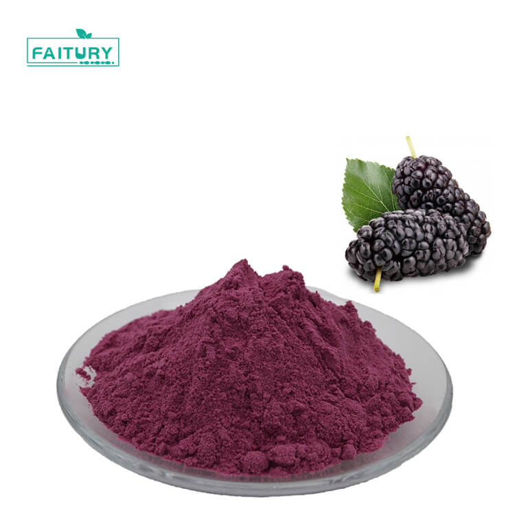 Mulberry Fruit Extract Powder