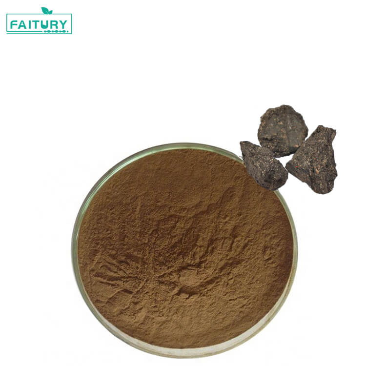 Himalayan Shilajit Extract Powder Shilajit Capsules With Fulvic Acid