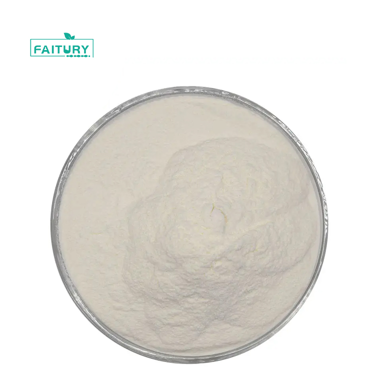Συμπλήρωμα διατροφής CAS 691364-49-5 Casein Phosphopeptide Powder CPP Powder