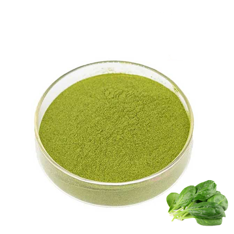 Organic Spinach Vegetable Powder Air Dried Dehydrated Spinach Powder Supplier