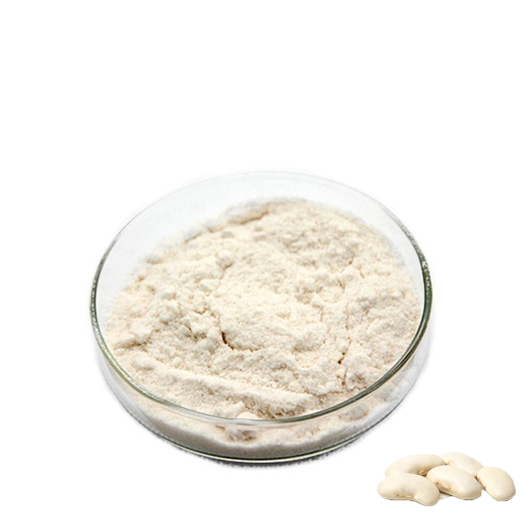 White Kidney Bean Powder ISO Halal Kosher Certified